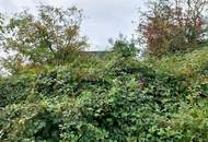 Grosses Grundstück mit bewilligtem Projekt!