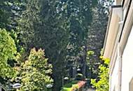 HOFSEITIGE ZWEIZIMMERWOHNUNG IN RUHIGSTER GRÜNLAGE IN DORNBACH