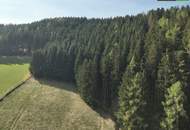 SANIERUNG 2025: Geräumiges Einfamilienhaus mit angeschlossener Kleinlandwirtschaft (Neben- und Stallgebäude) mit ca. 2.700 m² Grund