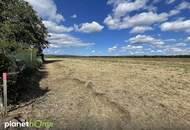 Ebenes Baugrundstück am sonnigen Ortsrand von Deutsch Schützen