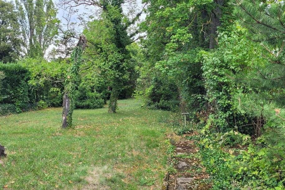 Sonniges Baugrundstück mit 1.672 m², ruhige Toplage nahe dem Ortszentrum, Grund und Boden-kauf, 1.198.000,€, 2380 Mödling