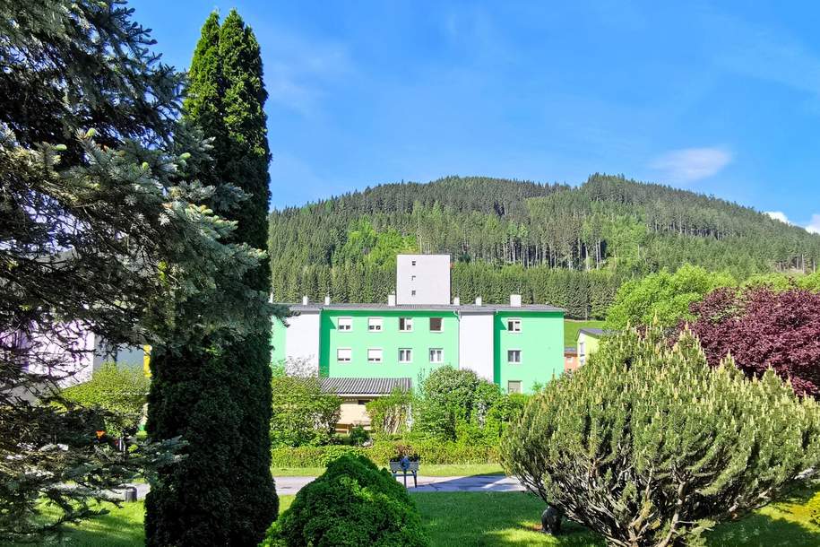 Attraktive 3-Zimmer ETW im sanierten Mehrfamilien-Wohnhaus - ruhige Lage, Wohnung-kauf, 72.000,€, 8662 Bruck-Mürzzuschlag