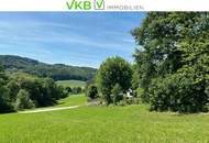 Exklusives Traumgrundstück in Leonding/Berg mit Fernblick!