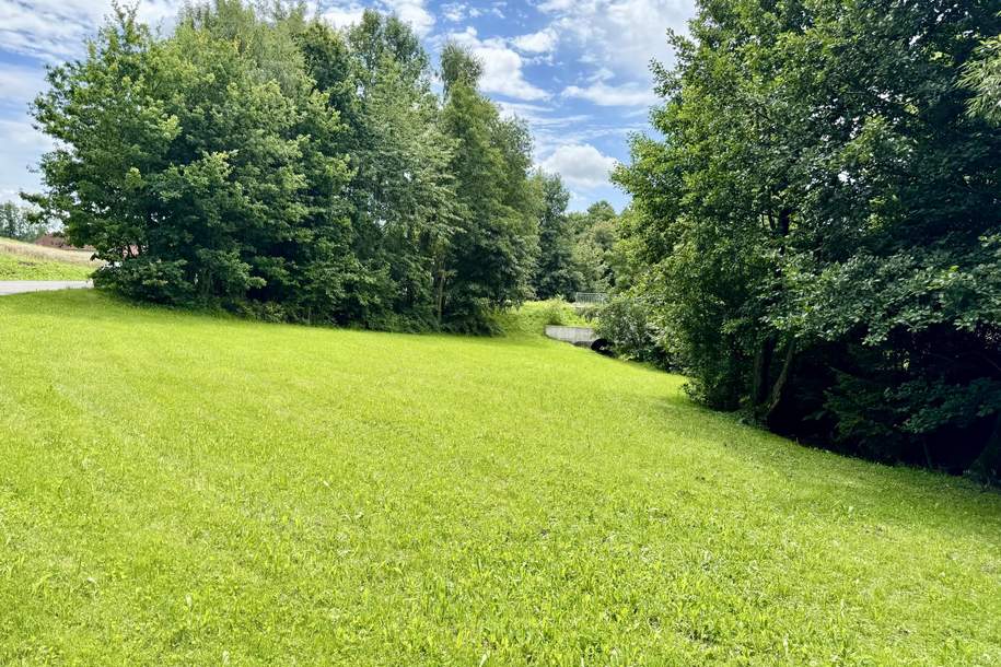 Erschlossenes Baugrundstück - Natur trifft auf Lebensqualität, Grund und Boden-kauf, 73.000,€, 4201 Urfahr-Umgebung