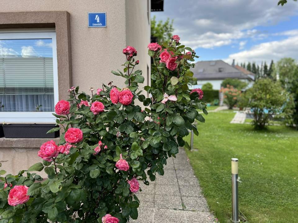 Erdgeschoss mit viel Platz zu mieten - mitunter perfekt für Ihre Mitarbeiter geeignet!