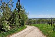Seltene Gelegenheit: Winzerhaus auf uneinsehbarem Grundstück | ZELLMANN IMMOBILIEN
