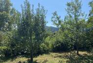 Bungalow in ruhiger Lage mit Top Ausblick in Maria Saal