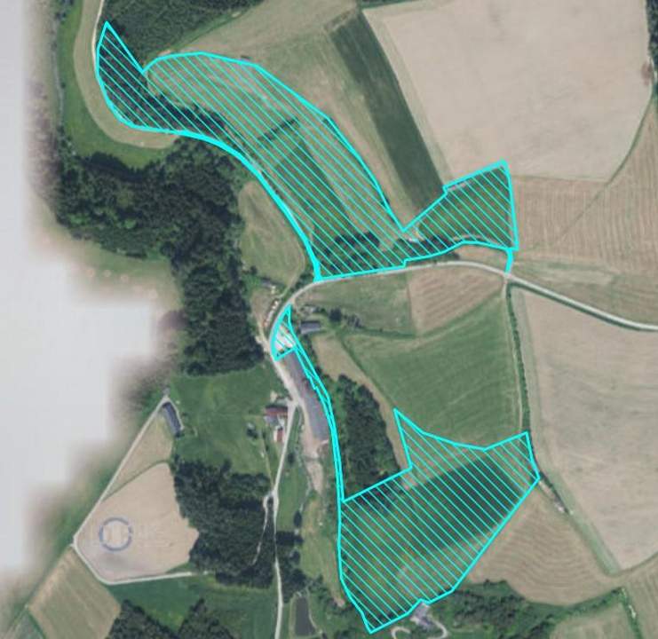 Landwirtschaftliche Flächen, Wald