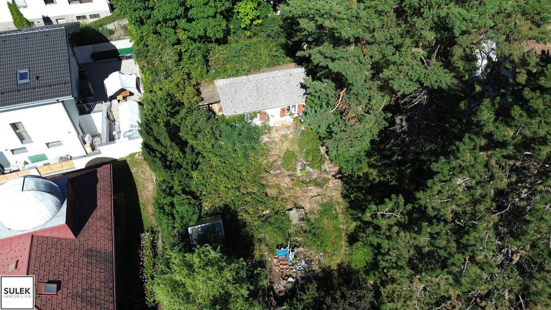Rodaun: ca. 591 m² Grundstück mit Altbestand in begehrter Grünlage
