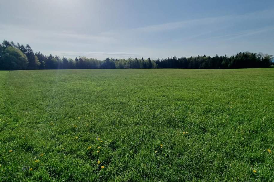 Landwirtschaftliches Grünland mit Waldfläche, Grund und Boden-kauf, 5162 Salzburg-Umgebung