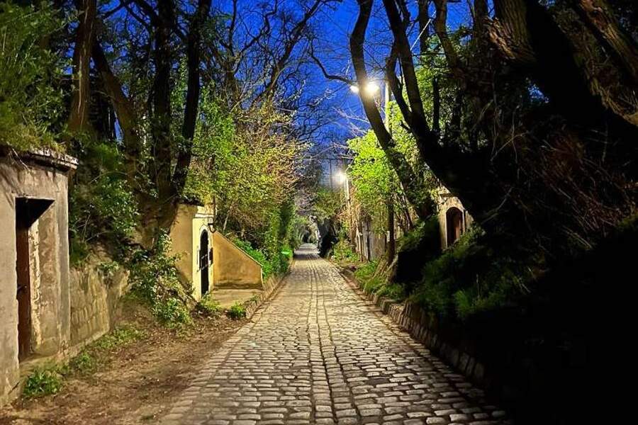 WEINKELLER, Gewerbeobjekt-kauf, 89.000,€, 1210 Wien 22., Donaustadt