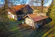 Charmantes Sacherl mit Sanierungsbedarf in naturverbundener Ruhelage