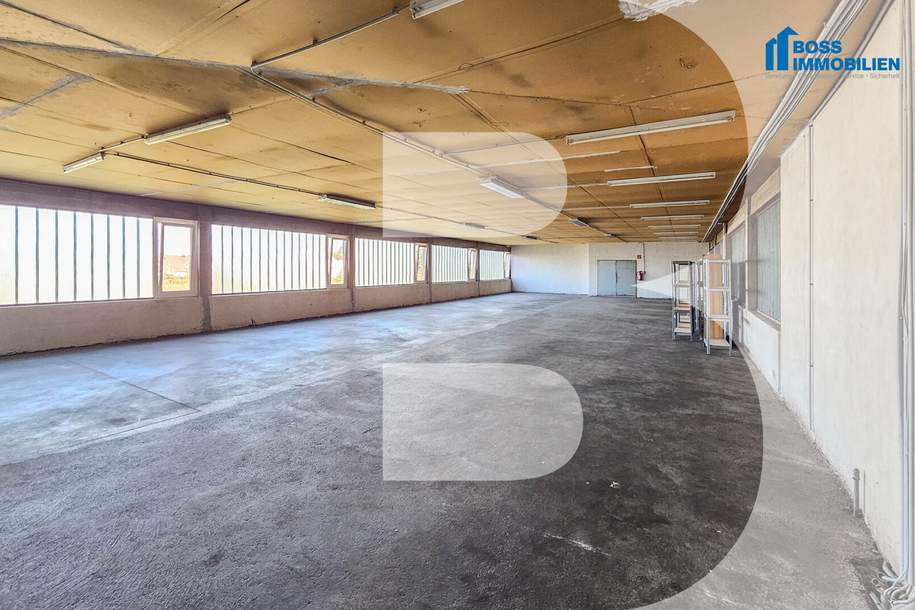 große Lagerfläche - 330 m² Nutzfläche, Gewerbeobjekt-miete, 1.970,00,€, 4050 Linz-Land