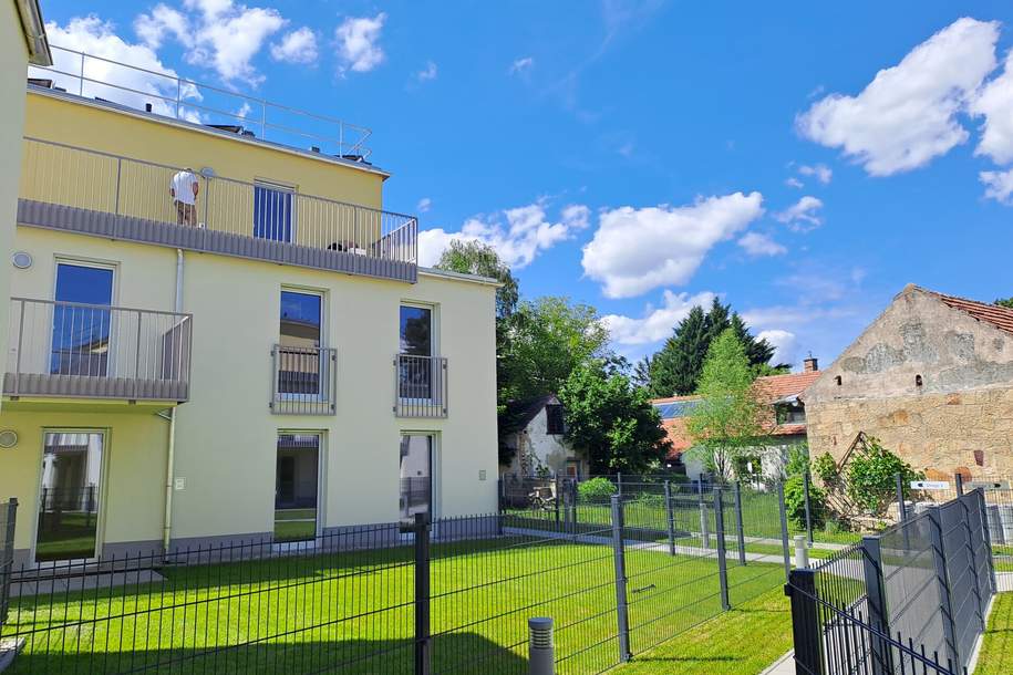 haus-c