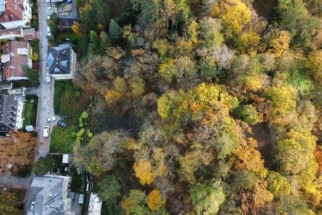 Bauträger und Privat-Häuslbauer AUFGEPASST! DREI Baugrundstücke in besonders schöner Villen-Grünruhelage! Inkl. Bebauungskonzept bzw. Vorplanung!, Grund und Boden-kauf, 399.000,€, 1230 Wien 23., Liesing