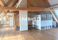 Außergewöhnliche Wohnung in revitalisiertem Schloss nahe Wien