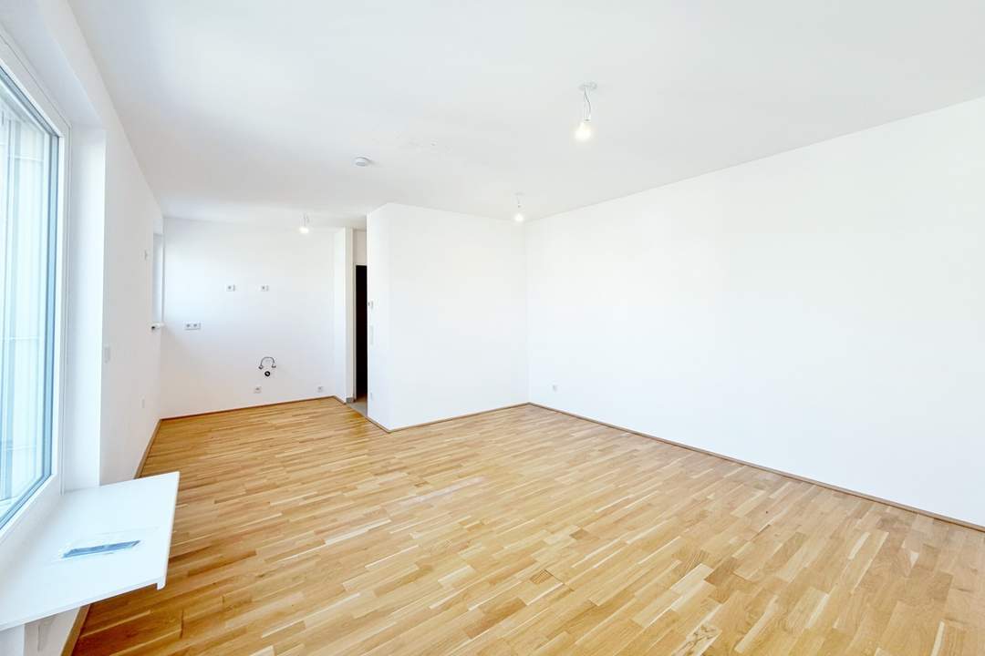 Ein Blick über die Dächer von Wien. 2 Zimmerwohnung mit Terrasse