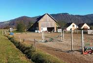 Landwirtschaft ca. 3,3 ha, mit Hofstelle