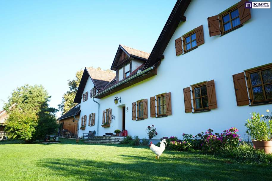 SENSATIONELLES JUWEL! Exklusiver Vierkanthof im Thermenland Steiermark – Wohnen, Reiten & Leben mit Pool und Alpakas!, Haus-kauf, 1.100.000,€, 8282 Hartberg-Fürstenfeld