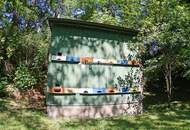 Renovierungsbedürftiges Landhaus mit Pool , Grundfläche 1.594 m² Renovierung und Schönheitsreparaturen sind erforderlich, dennoch sofort beziehbar!