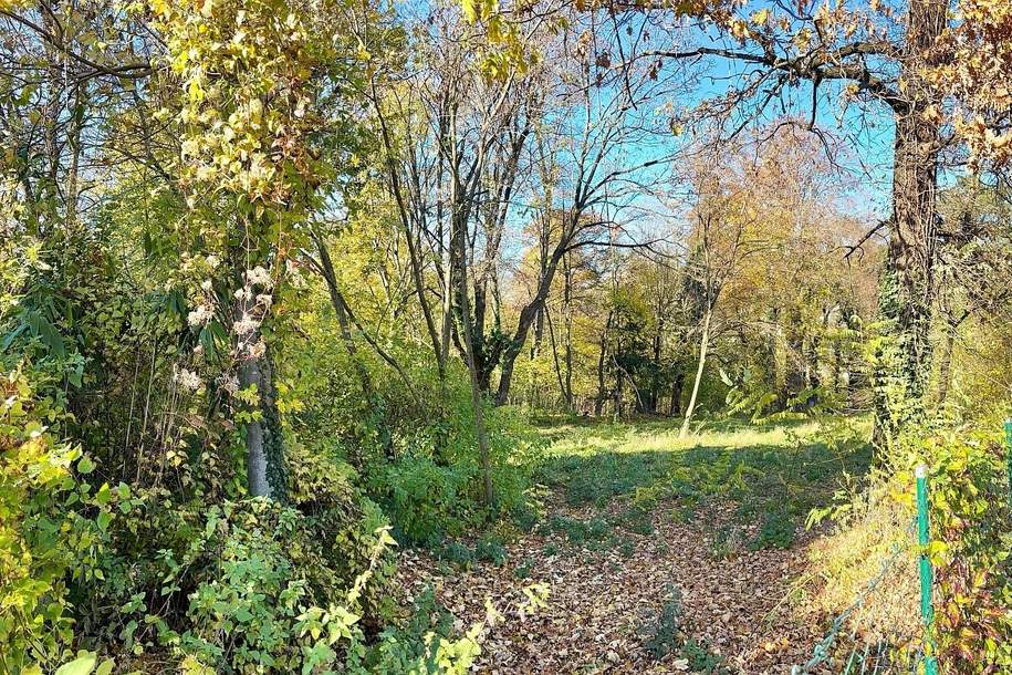 Platz für ein Einfamilien- oder Doppelhaus - Eigengrund am Ödberg in sonniger, grüner Umgebung, Grund und Boden-kauf, 495.000,€, 3400 Tulln