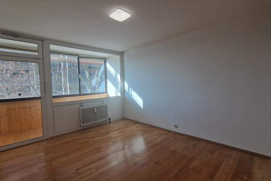 Zentrale Lage: Garconniere mit Loggia und TG-Abstellplatz, Wohnung-miete, 558,22,€, 8010 Graz(Stadt)