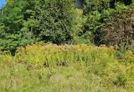 Grundstück in Imst – kompakte Größe, viele Optionen!