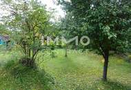 HORN - ALTENBURG GROßES HAUS, GROßER GARTEN, KLEINER PREIS