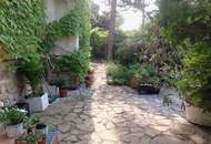 Natur pur , tolles Haus