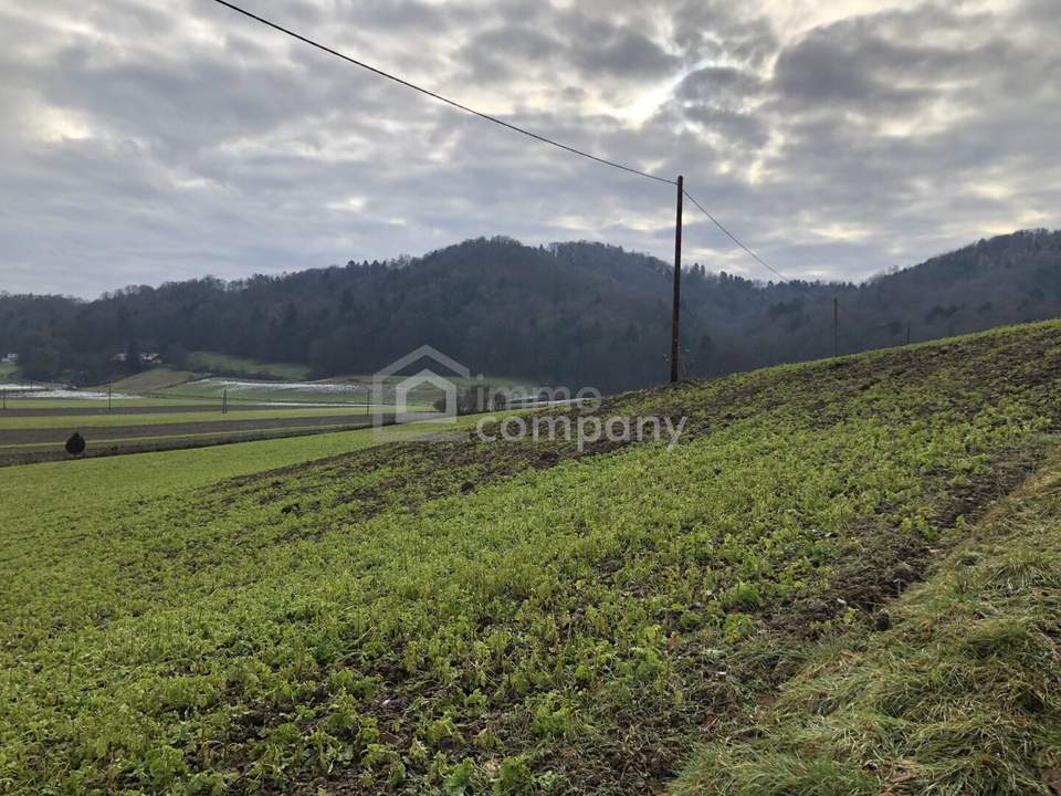 Über 1 ha Grund mit Bauland nahe Jennersdorf