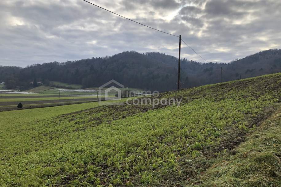 Über 1 ha Grund mit Bauland nahe Jennersdorf, Grund und Boden-kauf, 8380 Jennersdorf