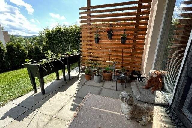 Traumhafte 2-Zimmer-Gartenwohnung in Seitenstetten, Wohnung-miete, 697,36,€, 3353 Amstetten