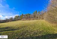 Sonnige Baugründe mit Fernblick in ruhiger Waldrandlage