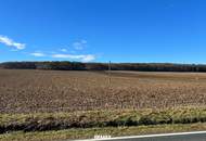 Landwirtschaftliche Fläche (ein Grundstück mit ca. 9,2 ha) - BEZIRK OBERWART!