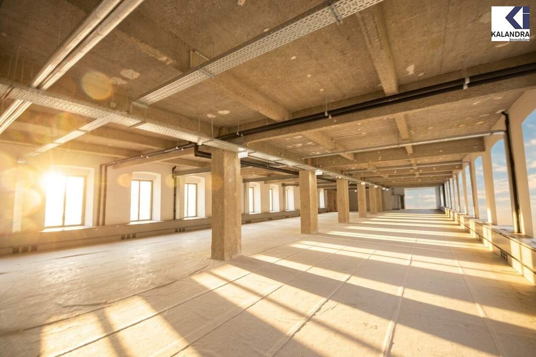 LOFT-BÜRO im "FABIANI-HAUS"