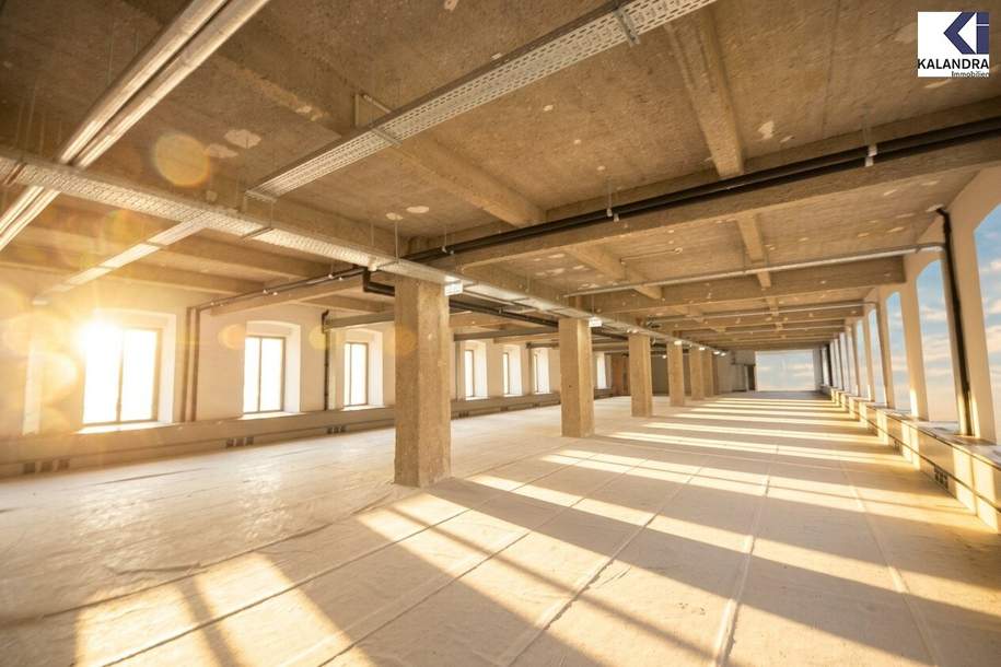 LOFT-BÜRO im "FABIANI-HAUS", Gewerbeobjekt-miete, 6.212,44,€, 1030 Wien 3., Landstraße