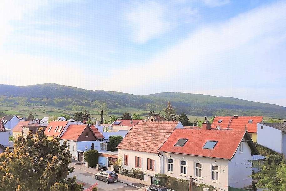 Schöne DG-Wohnung mit idyllischen Ausblicken/derzeit vermietet, Wohnung-kauf, 149.000,€, 2511 Baden