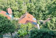 Jagdvilla aus 1910 - vollrenoviert - Top Ruhelage -10 Minuten zu Fuß in die Innenstadt von Baden