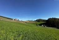 Ihr Traum beginnt hier! Malerisches Grundstück in Leibnitz/Fötschach mit atemberaubender Aussicht und historischem Altbestand!