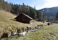 Ca. 16 ha Vielseitige Land- und Forstwirtschaftsflächen im Sackgraben – Gnadenberg