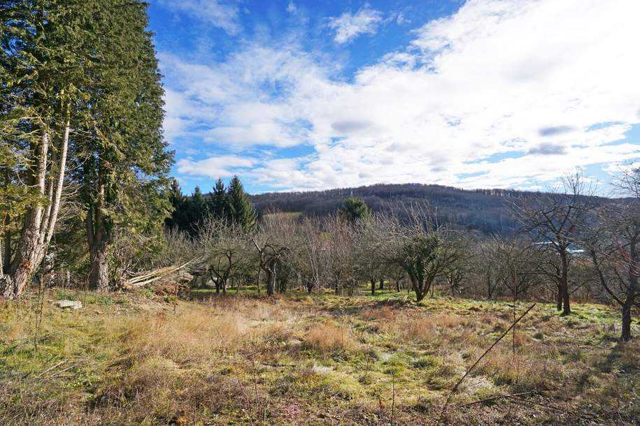 Grundstück mit Panoramablick an der Wiener Stadtgrenze - teilbar mit Bauträger-Eignung!, Grund und Boden-kauf, 1.150.000,€, 3001 Sankt Pölten(Land)