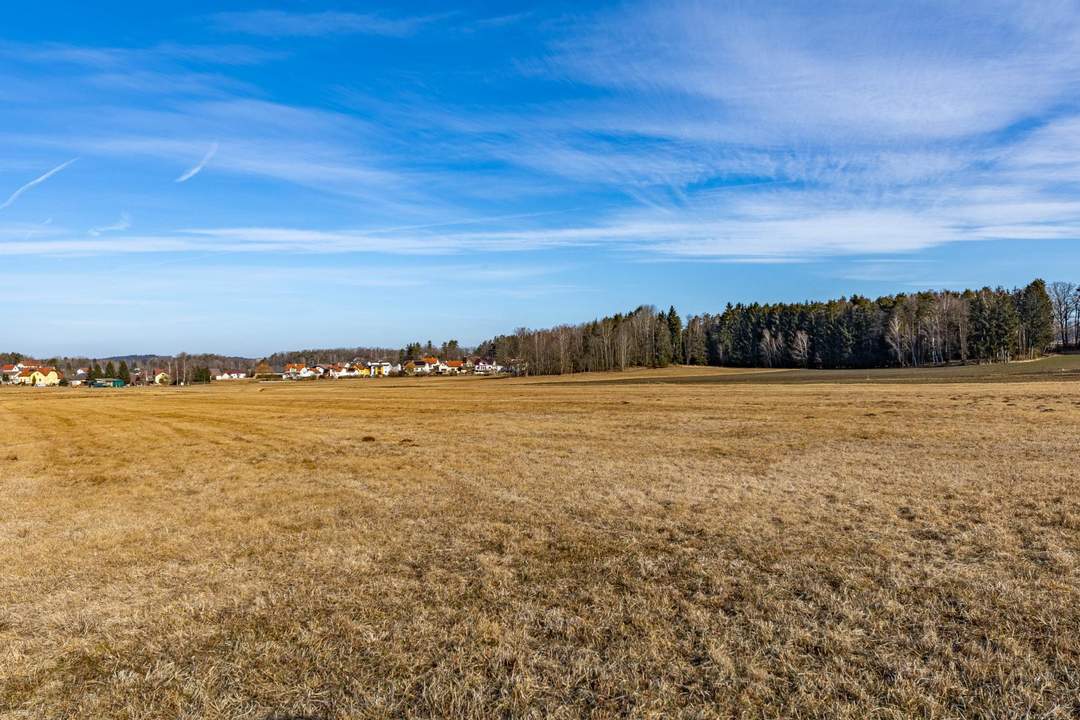 5815 m² Landwirtschaftliche Fläche als Anlage im Waldviertel!