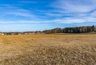 5815 m² Landwirtschaftliche Fläche als Anlage im Waldviertel!