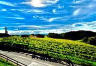 2-Zimmer Wohnung mit traumhaften Panoramablick inmitten der Weinberge von Klöch - Erstbezug!