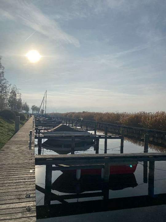 Ihr kleines Paradies am Neusiedlersee