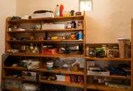 Weinviertler Bauernhaus in Ruhelage – rund 1.900 m² Grundstück mit viel Gestaltungsspielraum