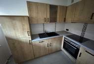 Kleine, feine Mietwohnung mit Traunsteinblick