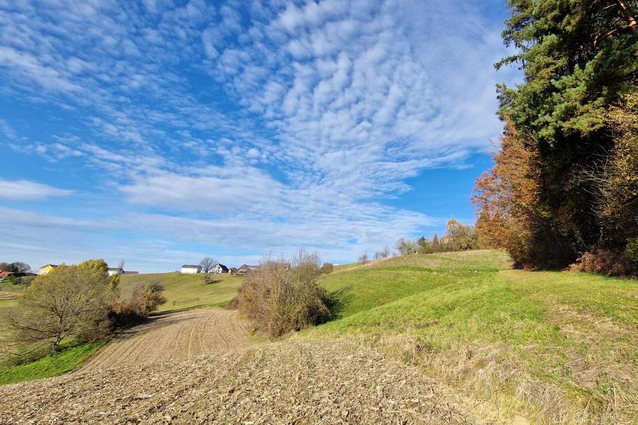 Idyllische Landwirtschaft in Pirching am Traubenberg mit großem Potenzial, Gewerbeobjekt-kauf, 633.000,€, 8081 Südoststeiermark