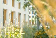 ROBIN Seestadt - Innovative Büroflächen in Wiens modernstem Stadtquartier