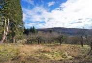 Grundstück mit Panoramablick an der Wiener Stadtgrenze - teilbar mit Bauträger-Eignung!